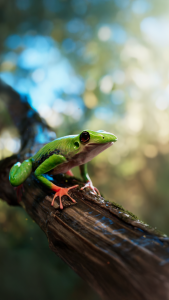 Read more about the article Creative.