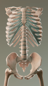 Read more about the article Accurate.