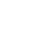 Limbs and Things Logo White